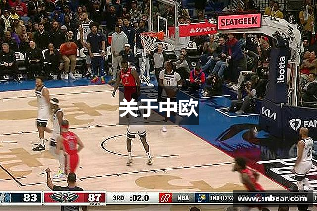 关于中欧